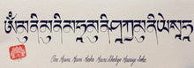Load image into Gallery viewer, Tibetan Calligraphy 23cm x 8cm