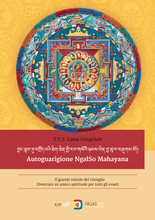 Load image into Gallery viewer, NgalSo Mahayana Self-Healing Practice