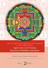 Load image into Gallery viewer, Practice of Buddha Amitayus