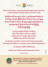 Load image into Gallery viewer, Lama Gangchen Rinpoche