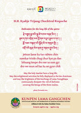 Carica l'immagine nel visualizzatore di Gallery, Sua Santità Kyabje Choktrul Trijang Rinpoche