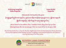 Load image into Gallery viewer, Lama Gangchen Rinpoche and Lama Michel Rinpoche