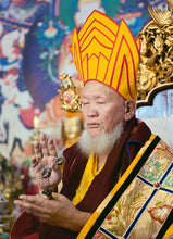 Carica l'immagine nel visualizzatore di Gallery, Lama Gangchen Rinpoche