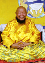 Carica l'immagine nel visualizzatore di Gallery, Lama Gangchen Rinpoche