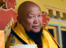 Carica l'immagine nel visualizzatore di Gallery, Lama Gangchen Rinpoche