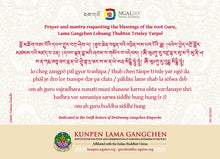 Carica l'immagine nel visualizzatore di Gallery, Lama Gangchen Rinpoche