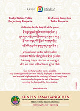 Carica l'immagine nel visualizzatore di Gallery, Lama Gangchen Rinpoche e Nyima Rinpoche