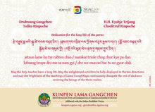 Carica l'immagine nel visualizzatore di Gallery, Sua Santità Kyabje Choktrul Trijang Rinpoche e Lama Gangchen Rinpoche