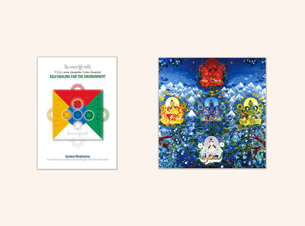 Self-Healing for the Environment - booklet and image