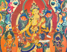 Load image into Gallery viewer, 21 Taras Panel
