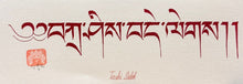 Carica l&#39;immagine nel visualizzatore di Gallery, Tibetan Calligraphy 23cm x 8cm
