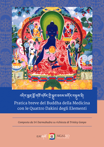 Condensed Sadhana of Medicine Buddha and the Four Element Dakinis