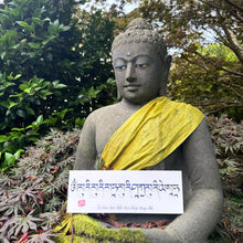 Load image into Gallery viewer, Tibetan calligraphy 33cm x 12cm
