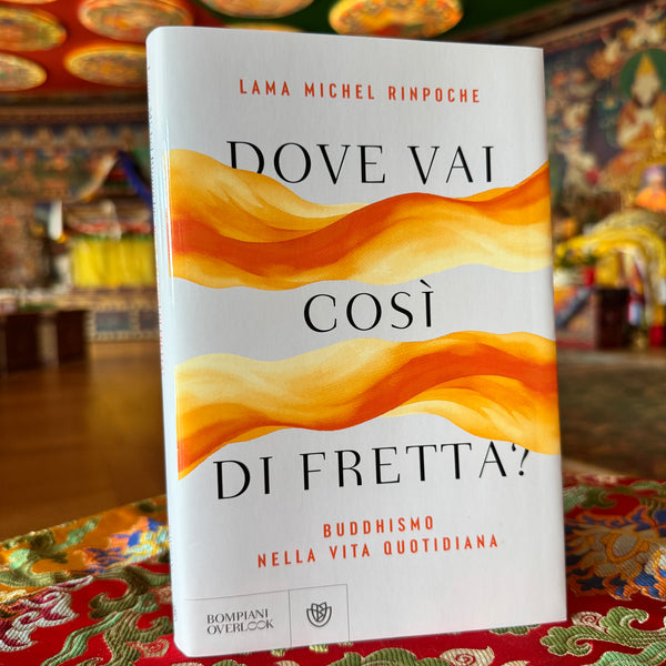 Dove vai così di fretta? Buddhismo nella vita quotidiana di Lama Michel Rinpoche