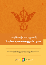 Load image into Gallery viewer, Prayers for Peace Messengers

