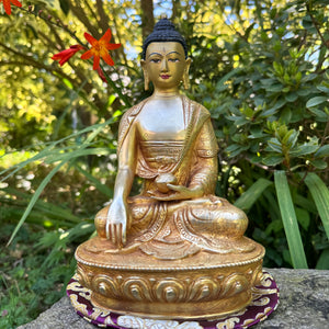 Buddha Shakyamuni 23cm -Siddhartha Gautama