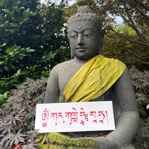 Tibetan calligraphy 33cm x 12cm