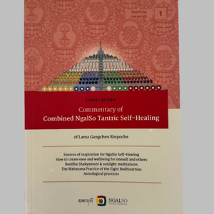 Commentary of Combined NgalSo Tantric Self-Healing of Lama Gangchen Rinpoche