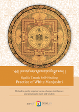 Load image into Gallery viewer, Practice of White Manjushri
