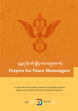 Load image into Gallery viewer, Prayers for Peace Messengers
