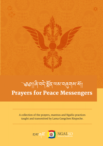 Prayers for Peace Messengers