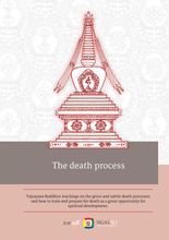 Load image into Gallery viewer, The death process

