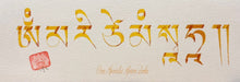 Carica l&#39;immagine nel visualizzatore di Gallery, Tibetan Calligraphy 23cm x 8cm
