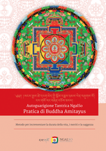 Load image into Gallery viewer, Practice of Buddha Amitayus
