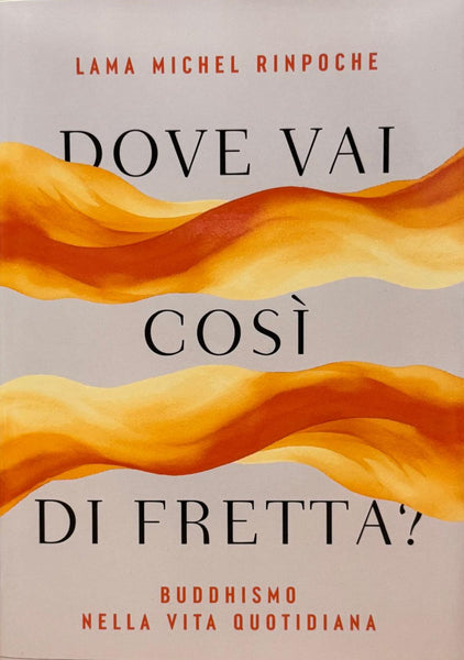 Dove vai così di fretta? Buddhismo nella vita quotidiana di Lama Michel Rinpoche