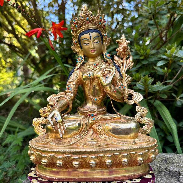Tara Bianca 24cm