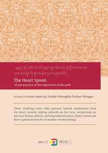 Heart spoon - of raw practice of the experience of the path