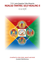 Load image into Gallery viewer, NgalSo Tantric Self-Healing II
