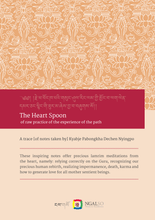 Load image into Gallery viewer, The heart spoon - of raw practice of the experience of the path
