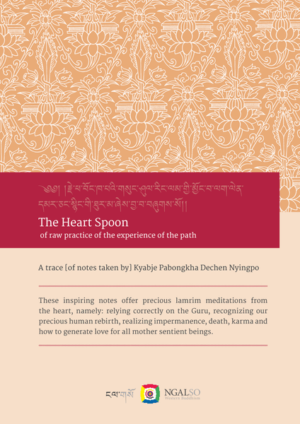 The heart spoon - of raw practice of the experience of the path