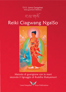 Chagwang NgalSo Reiki