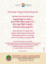 Carica l&#39;immagine nel visualizzatore di Gallery, Sua Santità Kyabje Choktrul Trijang Rinpoche
