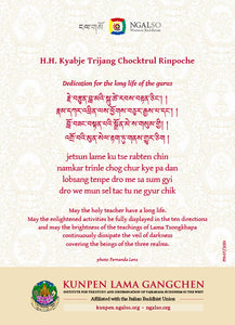Sua Santità Kyabje Choktrul Trijang Rinpoche