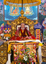 Carica l&#39;immagine nel visualizzatore di Gallery, Drubwang Gangchen Rinpoche
