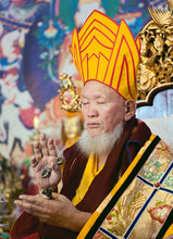 Carica l&#39;immagine nel visualizzatore di Gallery, Lama Gangchen Rinpoche

