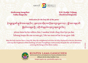 H.H. Kyabje Choktrul Trijang Rinpoche and Lama Gangchen Rinpoche